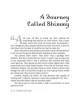 A Tapestry of Stars - Paperback | Books | Judaica